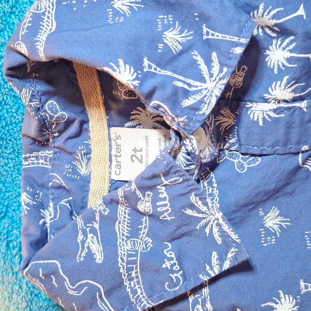 2T Carters Boy Outfit, Beach, Tropical, Summer, Short Sleeve and Shorts - Picture 2 of 5
